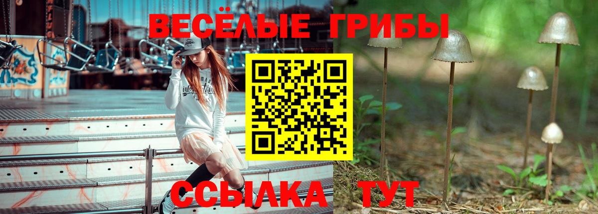 Псилоцибиновые грибы мицелий Нефтекамск